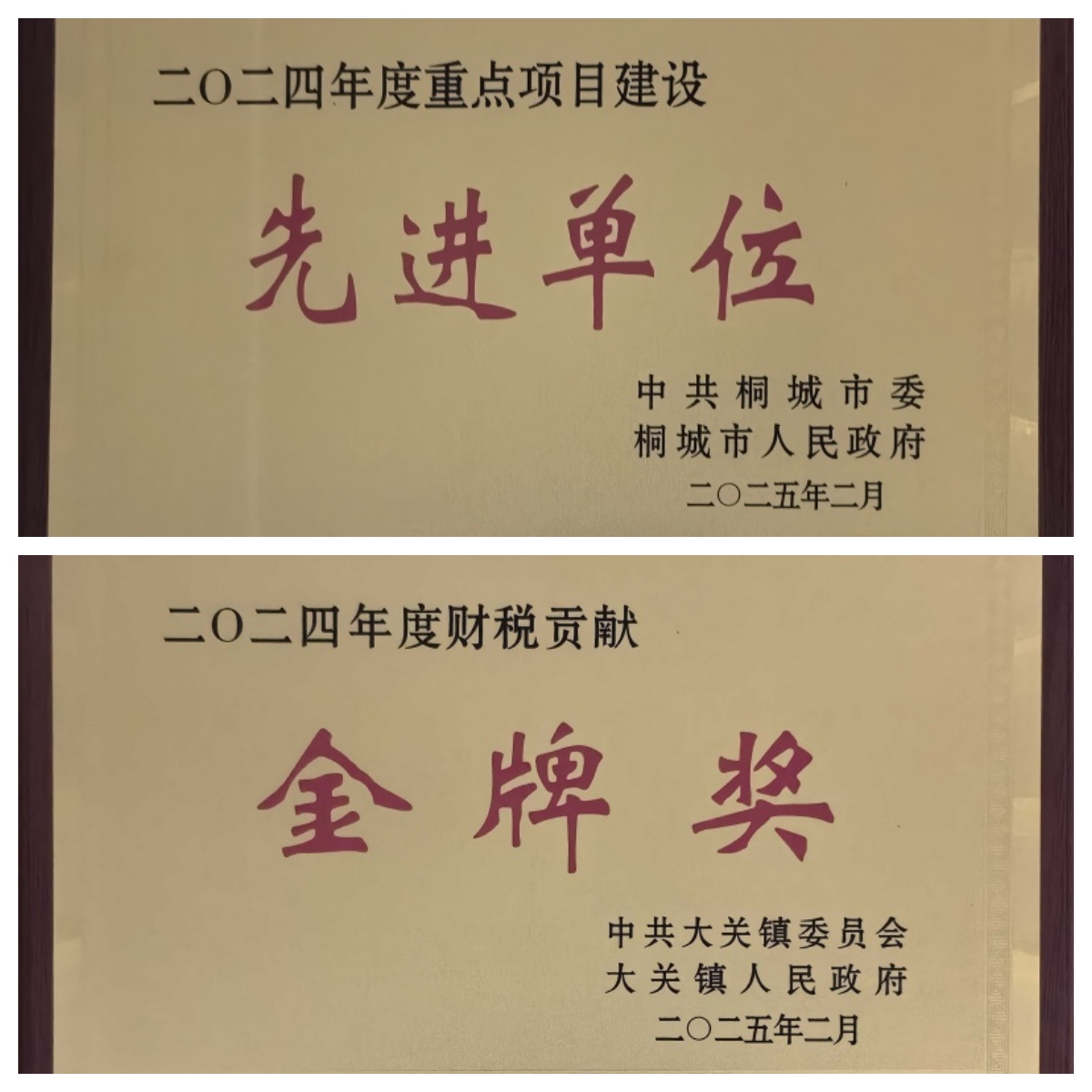 庆元照片_20250212154719A162 402永利集团(中国区)有限公司-官方网站